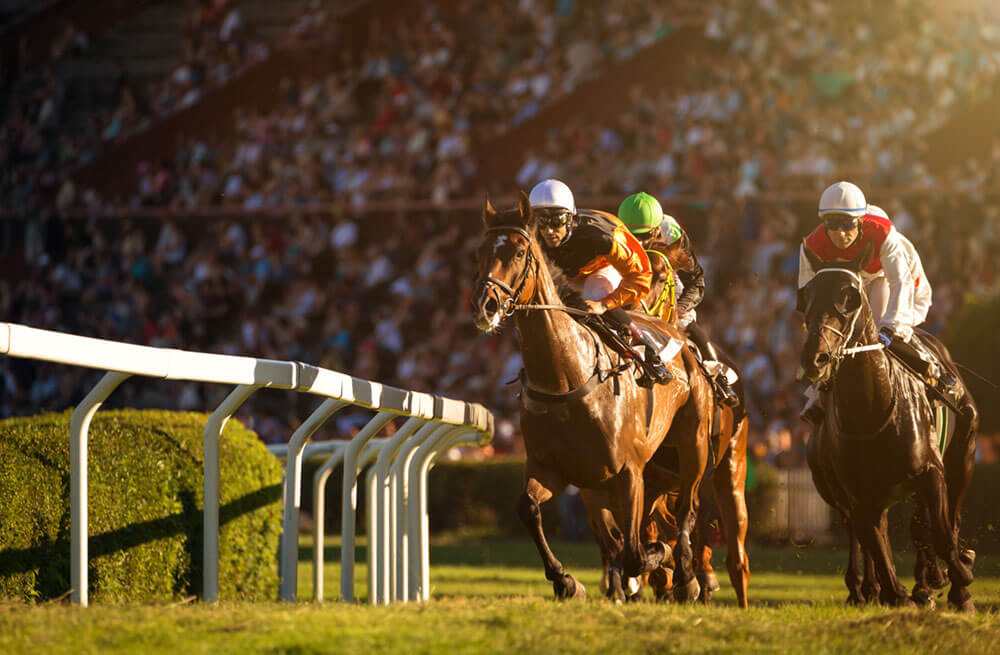 Ascot Horse Racing